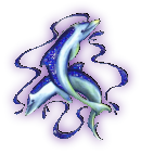 Dolphin video clip